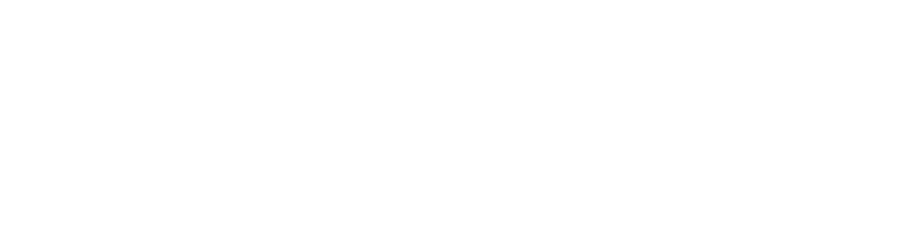 Nils Domin Logo